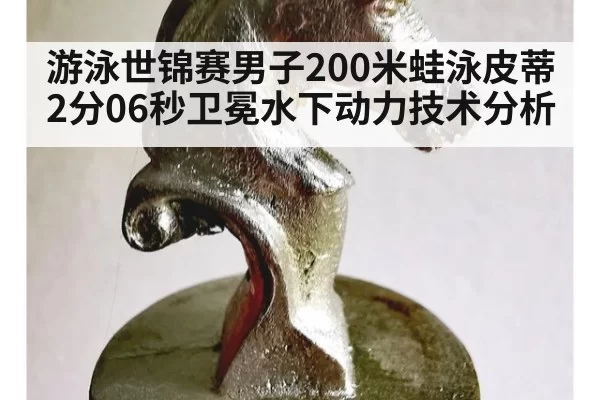 游泳世锦赛男子200米蛙泳皮蒂2分06秒卫冕水下动力技术分析