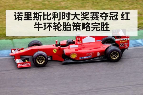 Formula 1 race | yaxin
